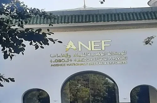 الرئيسية 31 الوكالة الوطنية للمياه والغابات 202405
