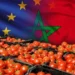 دراسة أوروبية ترصد تداعيات محتملة على صادرات الطماطم المغربية 7 طماطم 1 1024x576.jpeg