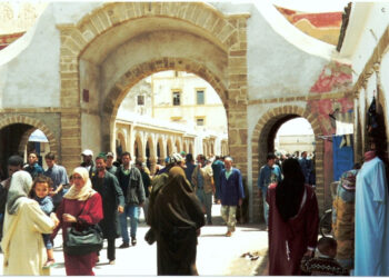 الصويرة.. العالم القروي والشباب في قلب الحملة الانتخابية 5 631b348241e69 768x532 1