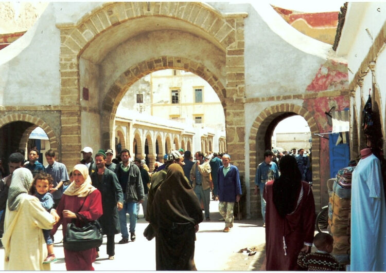 الصويرة.. العالم القروي والشباب في قلب الحملة الانتخابية 10 631b348241e69 768x532 1