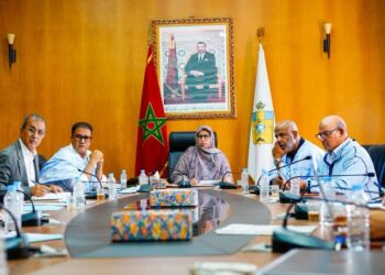 جهة الداخلة وادي الذاهب.. اجتماع اللجنة الدائمة المكلفة بالمالية والميزانية والبرمجة 4 825273411 1381608474135253 5013397031223416883 n