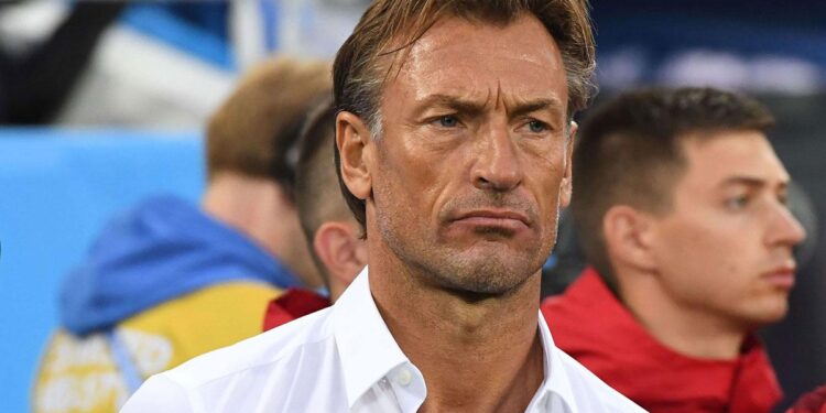 هيرفي رونار: المنتخب المغربي لكرة القدم فرض نفسه كأبرز منتخب إفريقي 14 Renard