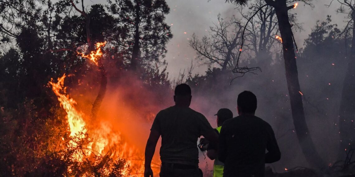 الحرائق في الجزائر: غطاء دخاني لتصفية المعارضة تحت مقصلة الإعدام 1 WhatsApp Image 2026 09 01 at 16.51.23