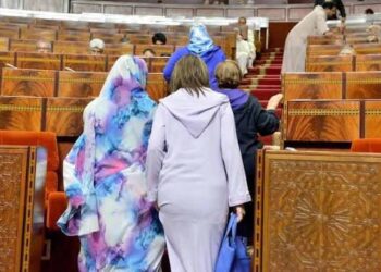 مقاعد البرلمان وتأسيس الأحزاب.. تعديلات جديدة تفتح الطريق أمام جيل جديد من العنصر النسوي.. 2 تمثيلية النساء داخل مجلس النواب