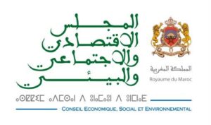 المجلس الاقتصادي والاجتماعي والبيئي