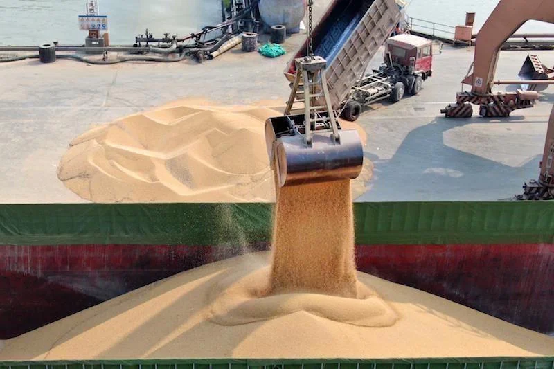 المغرب يستأنف استيراد القمح اللين وسط ارتفاع كلفة الشحن من الولايات المتحدة 1 ble 3