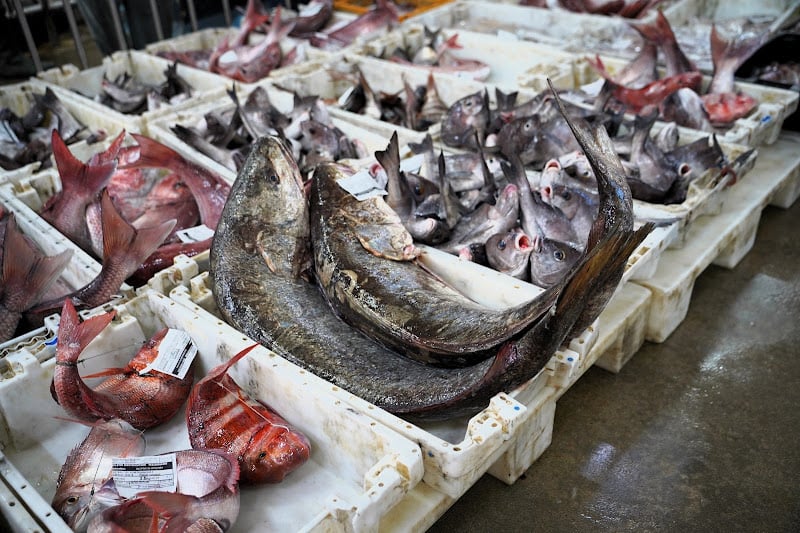 بوجدور.. ارتفاع مفرغات الصيد يعزز الدينامية الاقتصادية 1 boujdour peche poisson