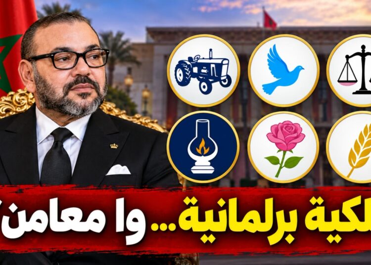 نجيبة جلال تكتب.. ملكية برلمانية… وا معامن؟ 1 c41f2d19 31f3 4a22 b8eb d14480e88595