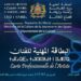 وزارة الثقافة تعلن نتائج دراسة طلبات البطاقة المهنية للفنانين وتشرع في توزيع الدفعة الرابعة 6 carte professionnelle de l artiste