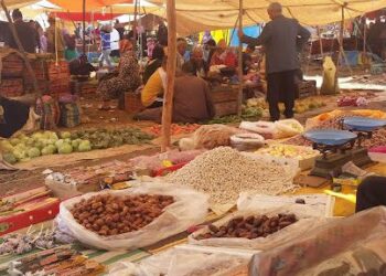 الأسواق الأسبوعية بالوسط القروي فضاءات حيوية للتواصل المباشر مع الناخبين 3 gI5Y7