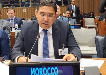 ناصر بوريطة: المغرب يعتبر تدبير المضايق مسؤولية وليس ملكية 3 images 25