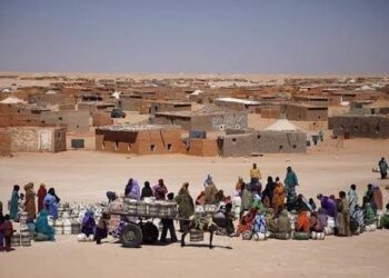 خبراء في حقوق الإنسان.. ينددون بالانتهاكات التي تطال أبسط حقوق الإنسان في مخيمات تندوف 2 images 26
