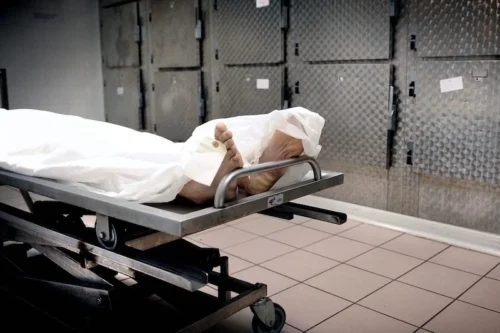 الرئيسية 34 morgue