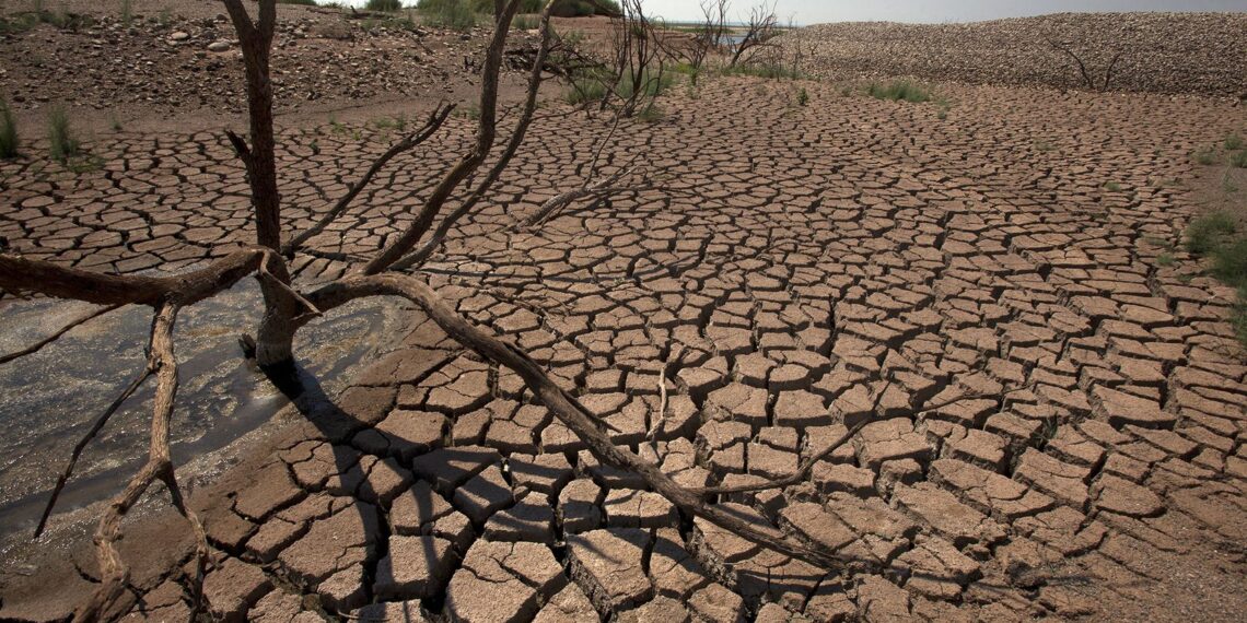تقرير يحذر من تصاعد المخاطر الصحية للتغير المناخي في أوروبا 1 secheresse indemnisation agriculteurs