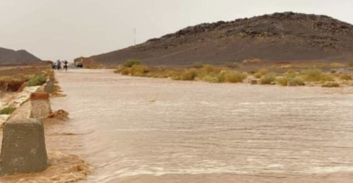 الرئيسية 26 IMG 20261001 121551