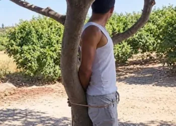 سيدي قاسم.. متابعة ثلاثة أشخاص على خلفية فيديو تعنيف شخص مكبل إلى شجرة 2 IMG 94c7d406 f244 4ecd b873 054a6c1e164a