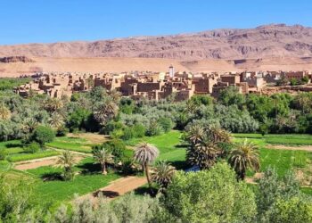 13 مليار سنتيم و45 صفقة.. برنامج تأهيل واحات زاكورة ينتقل إلى التنفيذ 3 Oasis region Draa Tafilalet33