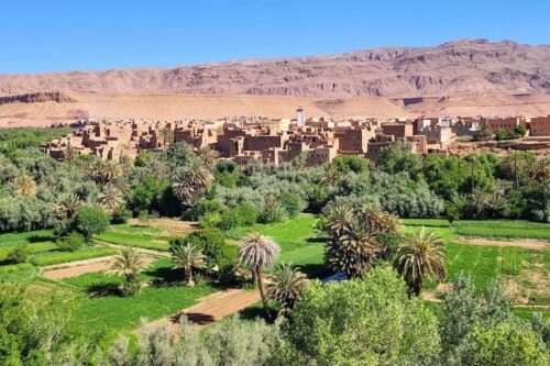 Oasis region Draa Tafilalet33