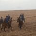 النقل المدرسي يغيب.. وأطفال أولاد افرج يمتطون الحمير 6 WhatsApp Image 2026 10 07 at 16.15.11