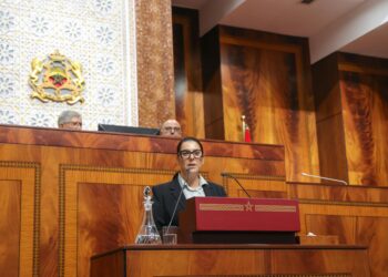 100 ألف شاب سنويا لأول تجربة مهنية.. الحكومة تكشف عن خطة جديدة للتشغيل 7 فاطمة الزهراء المنصوري