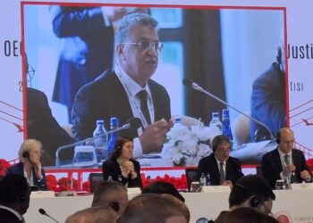 وهبي من إسطنبول: تحديث العدالة مدخل أساسي لتحسين مناخ الأعمال وجذب الاستثمار 4 WhatsApp Image 2026 10 21 at 10.20.51 1