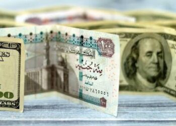 الجنيه المصري ينهار إلى مستوى قياسي أمام الدولار.. ومحافظ المركزي يثير الجدل بتصريحاته 3 الجنيه المصري