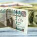الجنيه المصري ينهار إلى مستوى قياسي أمام الدولار.. ومحافظ المركزي يثير الجدل بتصريحاته 8 الجنيه المصري