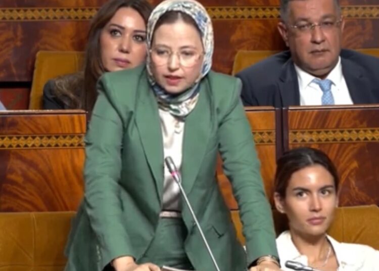 اعتماد الزاهيدي تثير إشكالية العدالة المجالية وتكافؤ الفرص بين جهات المملكة 6 اعتماد الزاهيدي