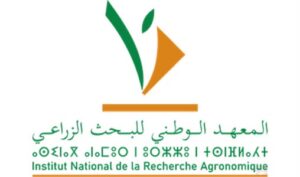 المعهد الوطني للبحث الزراعي