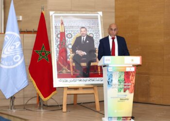 وزير الفلاحة: الابتكار والشباب ركيزتان لتحقيق السيادة الغذائية للمملكة.. 5 خالد حاتمي