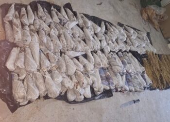الدرك يوقف شقيقين يشتبه في ترويجهما المخدرات بسيدي بنور 3 WhatsApp Image 2026 10 28 at 11.10.49 1
