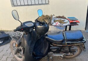 الدرك يوقف شقيقين يشتبه في ترويجهما المخدرات بسيدي بنور 2 WhatsApp Image 2026 10 28 at 11.10.49
