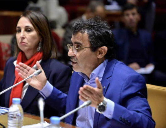 خلاف حول مكان المشاورات يعطل لقاء المنصوري وتحالف اليسار 1 el asri et mounib