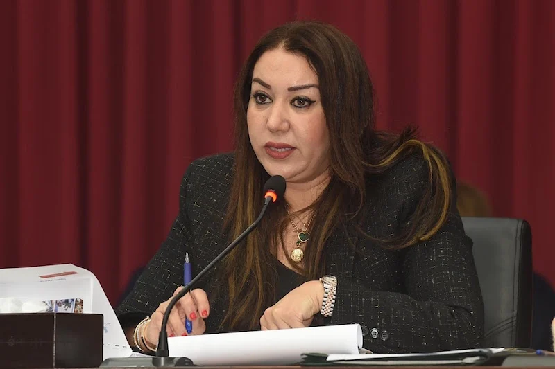 الرميلي تحسم الجدل بشأن استقالتها وتكشف دوافع القرار 1 rmili
