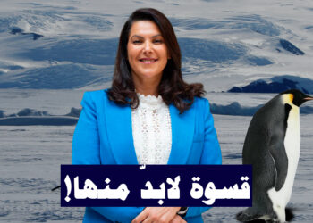 قسوة لابدّ منها! 4 فاطمة الزهراء المنصوري